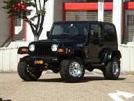 Cobra���[�o�b�N�V�[�g�AB&M Pro Ratchet, Mickey Thompson Baja Belted, TeraFlex Suspension